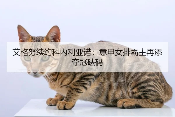 ai-ge-nu-xu-yue-ke-nei-li-ya-nuo-yi-jia-nv-pai-ba-zhu-zai-tian-duo-guan-fa-ma-2-902.jpg